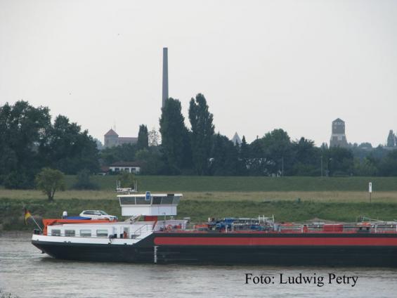 Blick-über-den-Rhein-(web).jpg